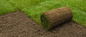 sod-installation-atlanta