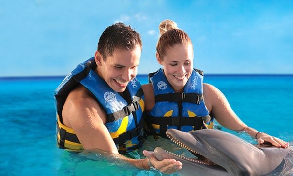 Dolphin Discover Los Cabos