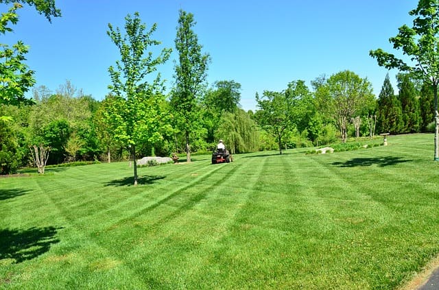 Commercial Lawn Care Services