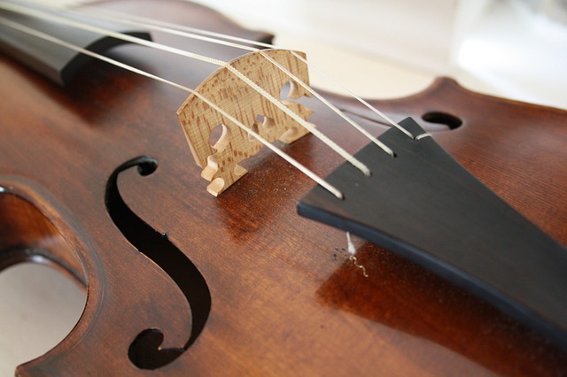 viola strings