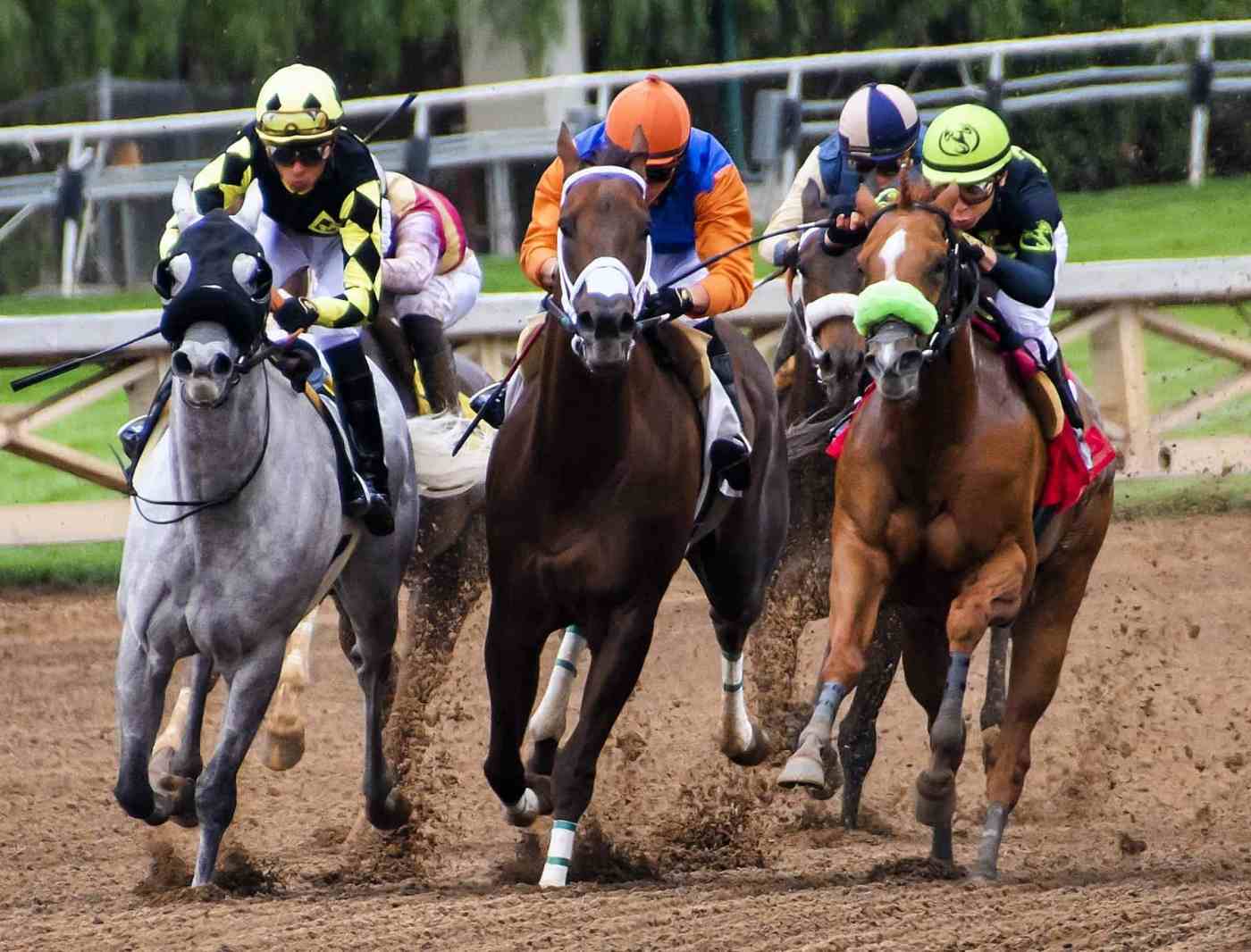betting on horse races online