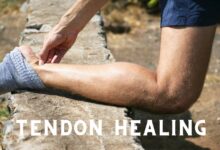 what is tendon healing