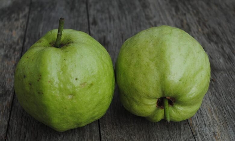 wellhealthorganic.com 5-amazing-health-benefits-of-guava