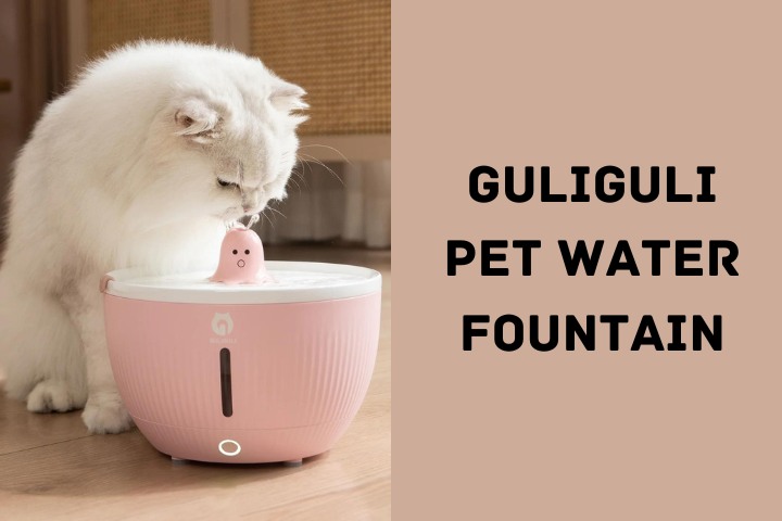GULIGULI Pet Water Fountain