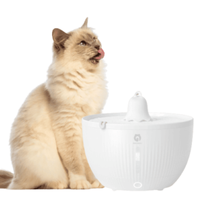 pet water fountain