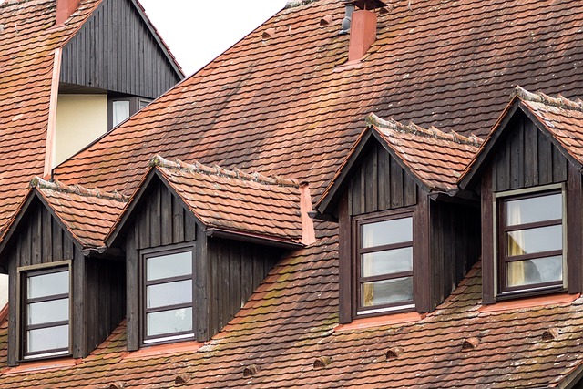 maintain your roof